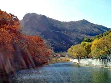 新澳天天开奖资料大全旅游团，荣事达洗衣机故障